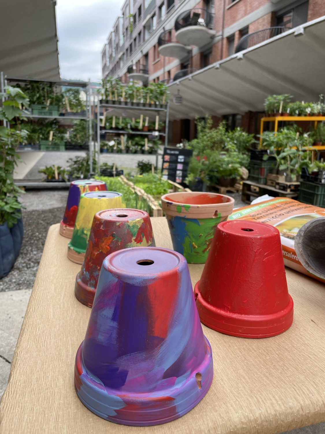 Bild zum Event: Topf bemalen und Wildblumenmischung für Nachtfalter sähen